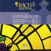 Download track Ich Freue Mich In Dir BWV 133 - III Recitativo (Tenore)
