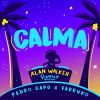 Download track Calma (Alan Walker Remix)