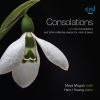 Download track Consolations S. 172 / R12: No. 3. Lento Placido In D-Flat Major (Arr. For Violin And Piano By Nathan Milstein)