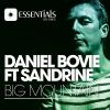 Download track Big Mountain (Extended Mix)