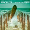 Download track Never Too Late (Skua's Aggregated Remix)