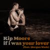 Download track If I Was Your Lover