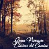 Download track Casita Blanca