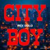 Download track City Boy