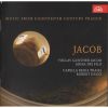 Download track (28) [Robert Hugo] Concerto For Orchestra In C Major, Op. 19-1 (Sacrarium Quadriformae) - Adagio