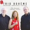 Download track The Seasons, Op. 37a: No. 12, December. Christmas
