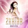 Download track Delilik