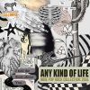 Download track Any Kind Of Life