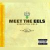 Download track Mr. E's Beautiful Blues