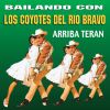 Download track Arriba Teran