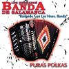 Download track Las Capitanas