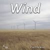 Download track Wind In Field With Birds And Crickets