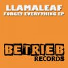 Download track Forget Everything