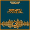 Download track Kookaburra (Extended Mix)