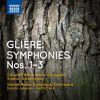 Download track Symphony No. 2 In C Minor, Op. 25 - I. Allegro Pesante