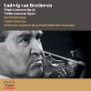 Download track Violin Concerto In D Major, Op. 61: I. Allegro Ma Non Troppo - Cadenza