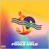 Download track Fools Gold