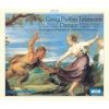 Download track 14. Gavotte. Entrance Of The Fauns