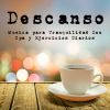 Download track Kamasutra - Musica Para Masaje