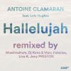 Download track Hallelujah (Tune Brothers Remix)