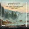 Download track 3. Schumann: Violin Concerto In D Minor WoO 1 - III. Lebhaft Doch Nicht Schnell