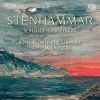 Download track (Serenade In F Major, Op. 31 (1914 / 19)) - III. Scherzo. Presto