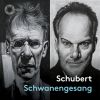 Download track Schwanengesang, D. 957 No. 12, Am Meer