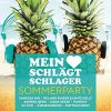 Download track Königin Des Sommers (Fox Mix)