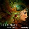 Download track Spiritual Contact (Original Mix)