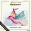 Download track 7. Waltz № 7 Op 642 Cis-Moll