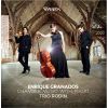 Download track 15 Trio Rodin - Violin Sonata, H. 127 - IV. Finale Allegretto Con Un Sentimento Molto Tranquilla E Con Semplicita