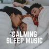 Download track Developing Sleep Melodies, Pt. 39