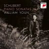 Download track Piano Sonata No. 6 In E Minor, D. 566- II. Allegretto