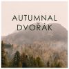 Download track 8 Slavonic Dances, Op. 72 - For Piano Duet: 2. No. 2 In E Minor (Allegretto Grazioso)