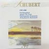 Download track 09 Schubert String Quartet # 13 In A. Wav (Streichquartett A-Moll Op. 29 - Rosamunde - D 804)