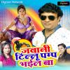 Download track Jawani Tillu Pump Bhayil Ba