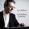 Download track Müllerlieder Von Franz Schubert, S. 565: I. Das Wandern