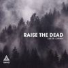 Download track Raise The Dead