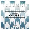 Download track Colibri (Original Mix)