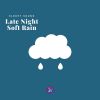 Download track Rain In The Night