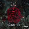 Download track Mauvais Djo