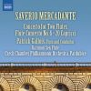 Download track Concerto For 2 Flutes In D Major (Ed. P. Gallois): II. Largo