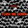 Download track Turn Me Down