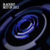 Download track Blackout Best Of 2023 (Continuous DJ Mix By Pythius)