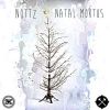 Download track Christmas Ain't Shit Without Nottz