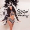 Download track Begin Your Carnival