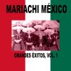 Download track Flor De México