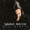 Download track Deli Derviş