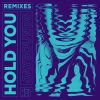 Download track Hold You (Dave Winnel Remix)