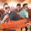 Download track Mi Princesa
